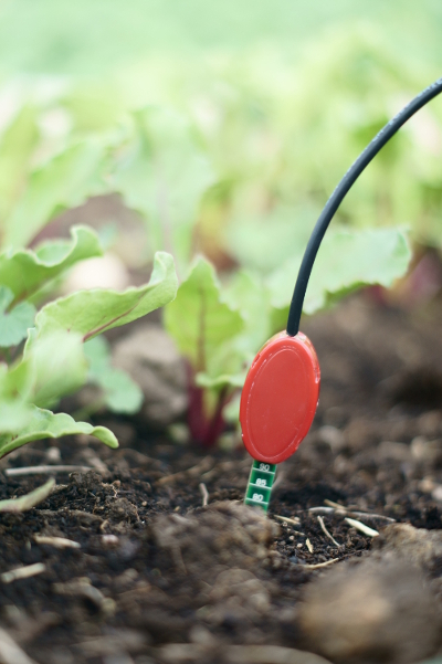 Soil Moisture Sensor