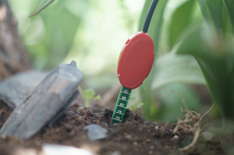 Soil Moisture Sensor